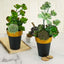 2-Pack Flower Plant Pots Medium Design Black with Gold Rim - Plastic Indoor Decorative Planters 6"
