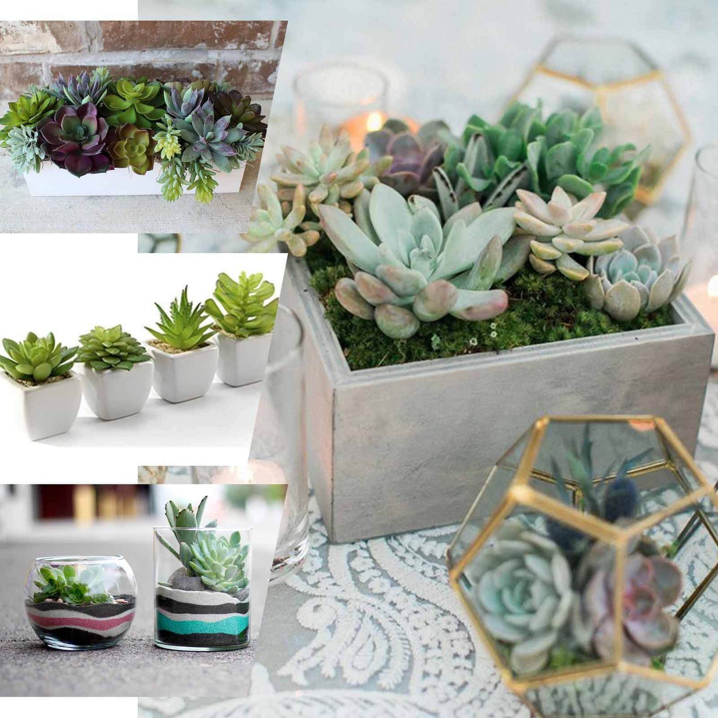 3 Pack 18" Assorted Artificial Aeonium Spray Succulent Air Plants