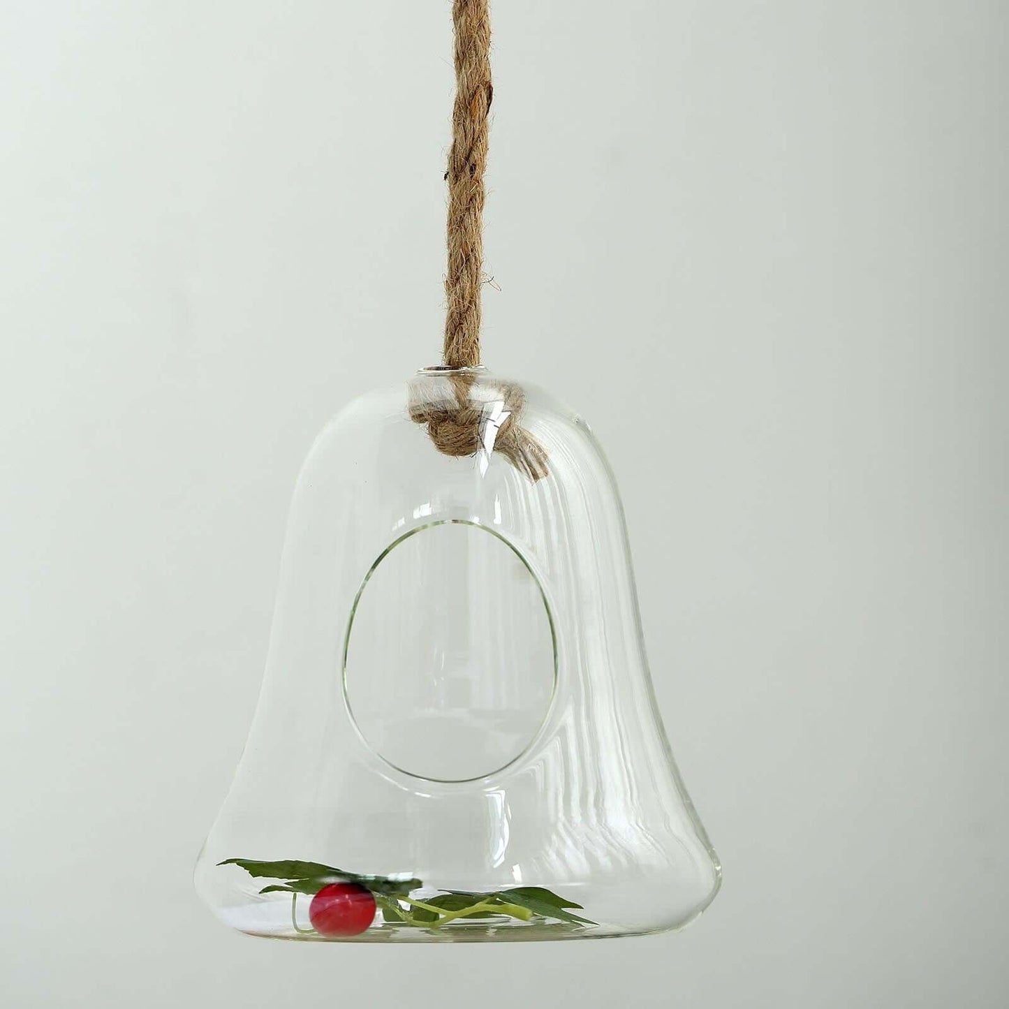 Glass Terrarium Hanging Bell Shaped Design with Twine Rope - Unique Free-Falling Planter for Air Plants & Displays 9"
