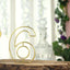 8" Tall Gold Freestanding 3D Decorative Metal Wire Numbers, Wedding Table Numbers -6