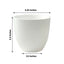 2-Pack Planter Pots Indoor Macrame Holder Design White - Plastic Plant Pots 5.5"