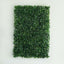 11 Sq ft. Dark Green Boxwood Hedge Garden Wall Backdrop Mat - 4 Artificial Panels