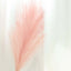 3 Stems Artificial Pampas Grass Decor Dusty Rose for Rustic Boho Chic Backdrops Floral Styling & Vase Displays 44"
