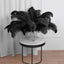 12 Pack Black Natural Plume Ostrich Feathers Centerpiece Filler - 24"-26"