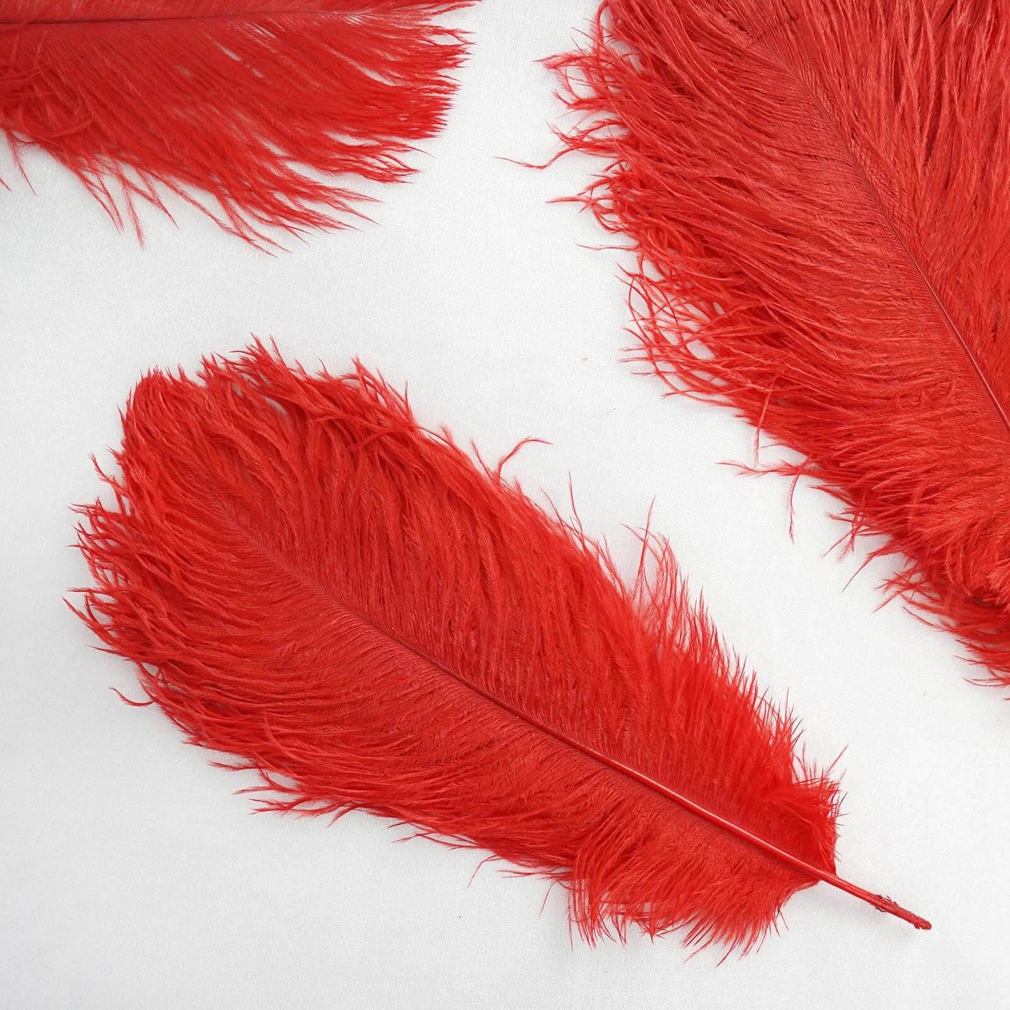 12 Pack 13"-15" Red Natural Plume Real Ostrich Feathers, DIY Centerpiece Fillers