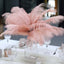 12 Pack 13"-15" Rose Gold Natural Plume Real Ostrich Feathers, DIY Centerpiece Fillers