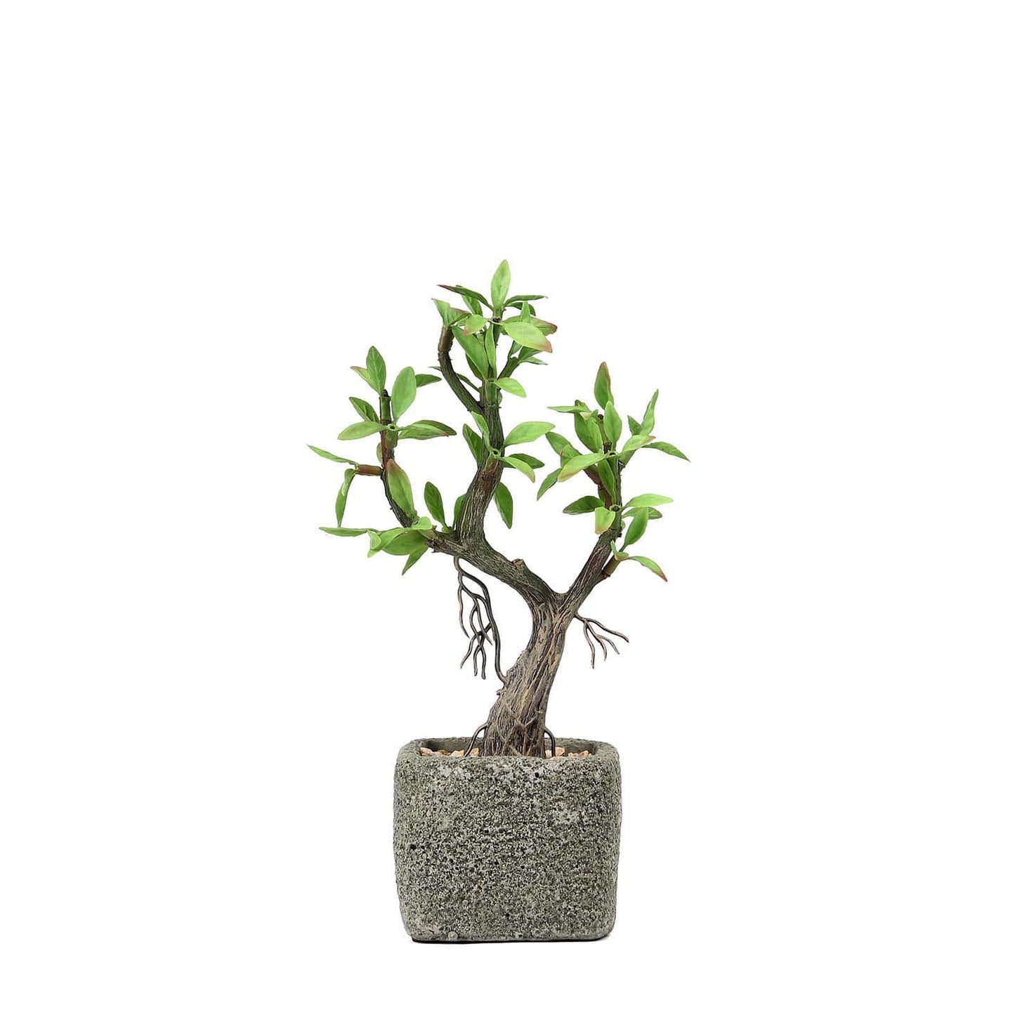 Willow Tree Artificial Succulents in Concrete Pot - Lifelike Decorative Faux Plants for Home Office & Event Design 9"