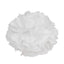 6 Pack 12" White Tissue Paper Pom Poms Flower Balls, Ceiling Wall Hanging Decorations
