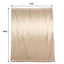 8ftx10ft Nude Satin Event Curtain Drapes, Backdrop Event Panel