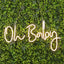 26" Oh Baby Neon Light Sign, LED Reusable Wall DÃ©cor Lights With 5ft Hanging Chain