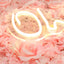 26" Oh Baby Neon Light Sign, LED Reusable Wall DÃ©cor Lights With 5ft Hanging Chain