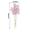 50-Pack Dried Bunny Tail Grass Lavender Lilac - Rustic Chic Lagurus Ovatus Rabbit Tail Ornamental Grass for Modern Farmhouse Decor Event Styling & Floral Displays 15"