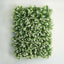11 Sq ft. White Tip Green Boxwood Hedge Genlisea Garden Wall Backdrop Mat - 4 Artificial Panels