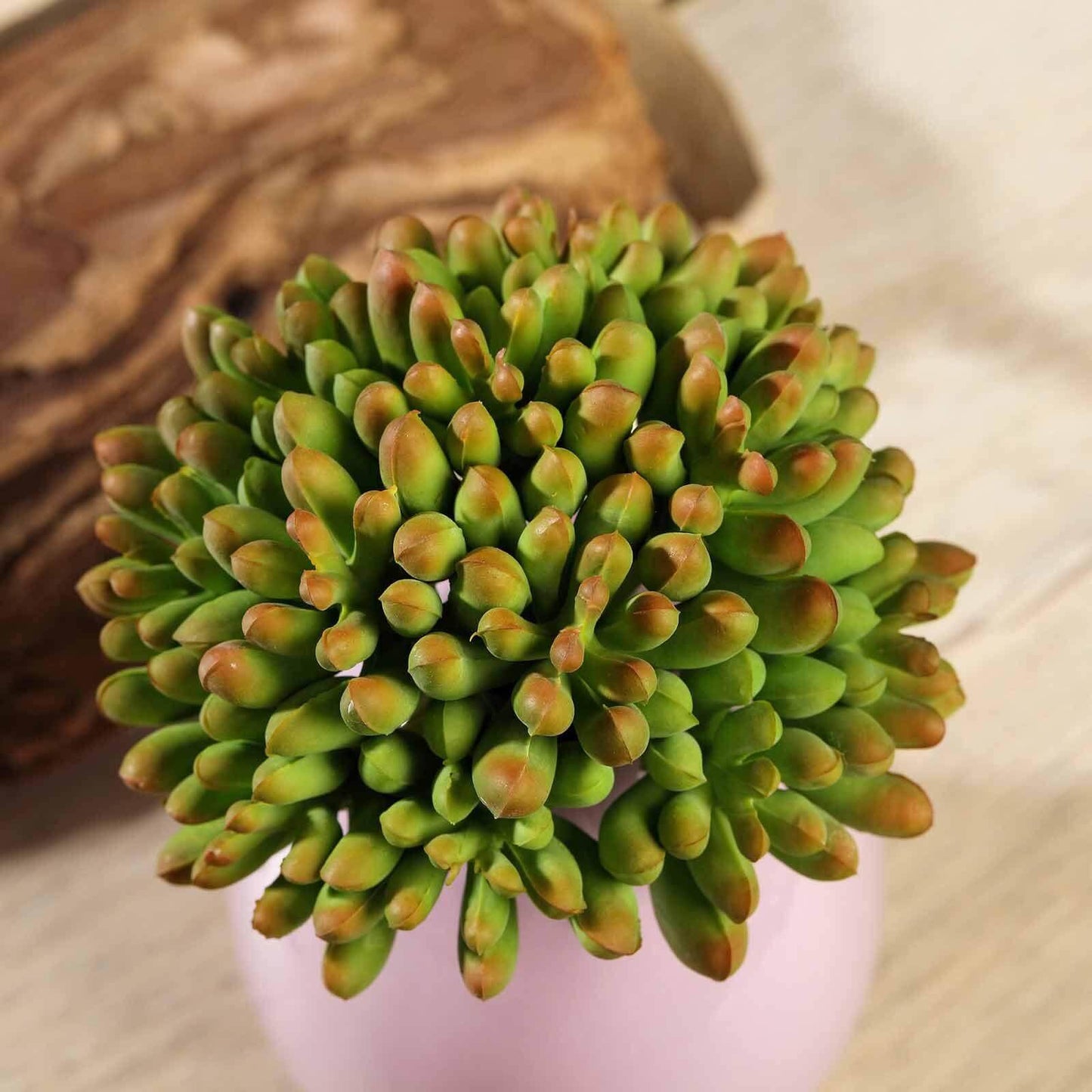 3 Pack 4" Artificial PVC Mini Jelly Bean Decorative Succulent Plants