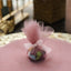 25 Pack 9" Dusty Rose Sheer Nylon Tulle Circles Favor Wrap Craft Fabric, DIY Candy Favor Wraps