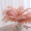 12 Pack 13"-15" Mauve Natural Plume Real Ostrich Feathers, DIY Centerpiece Fillers
