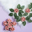 24 Roses 2" Dusty Rose Artificial Foam Flowers With Stem Wire and Leaves