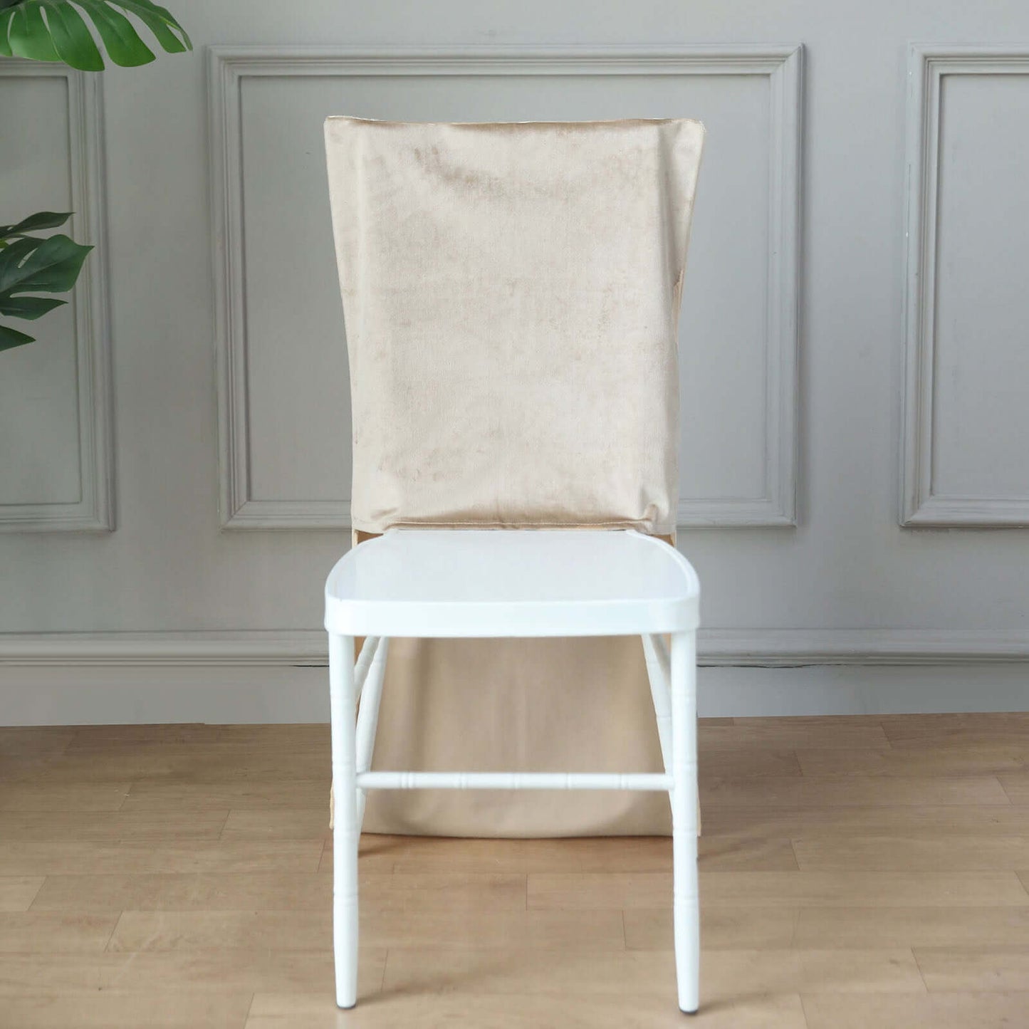 Velvet Chair Back Slipcover for Chiavari Chairs Champagne - Soft and Smooth Solid Chair Back Cover Cap