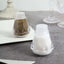 12 Pack 2.5" Clear Plastic Salt and Pepper Shakers Party Favor Gifts