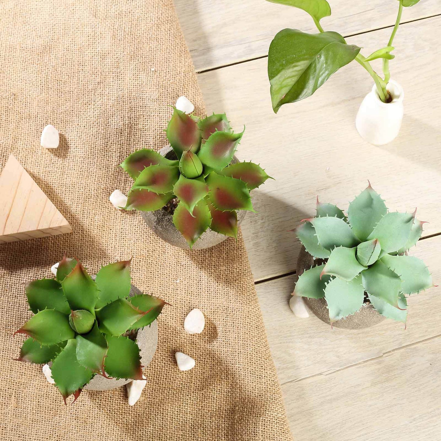 3-Pack Aloe Artificial Succulents in Ceramic Pot - Lifelike Decorative Faux Plants for Home Office & Event Design 5"