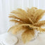 12 Pack 13"-15" Gold Natural Plume Real Ostrich Feathers, DIY Centerpiece Fillers