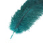 12 Pack 13"-15" Peacock Teal Natural Plume Real Ostrich Feathers, DIY Centerpiece Fillers