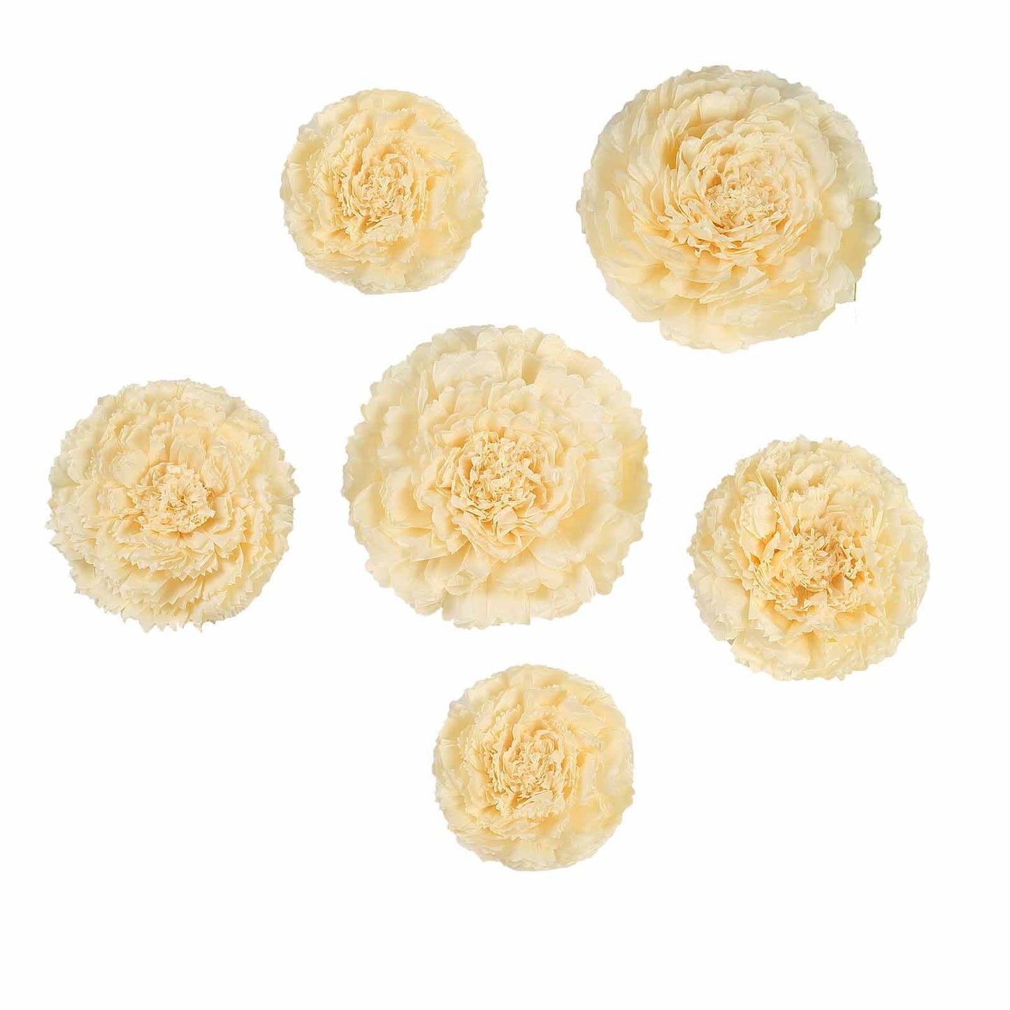 Set of 6 Ivory Cream Carnation 3D Paper Flowers Wall Decor - 7",9",11"