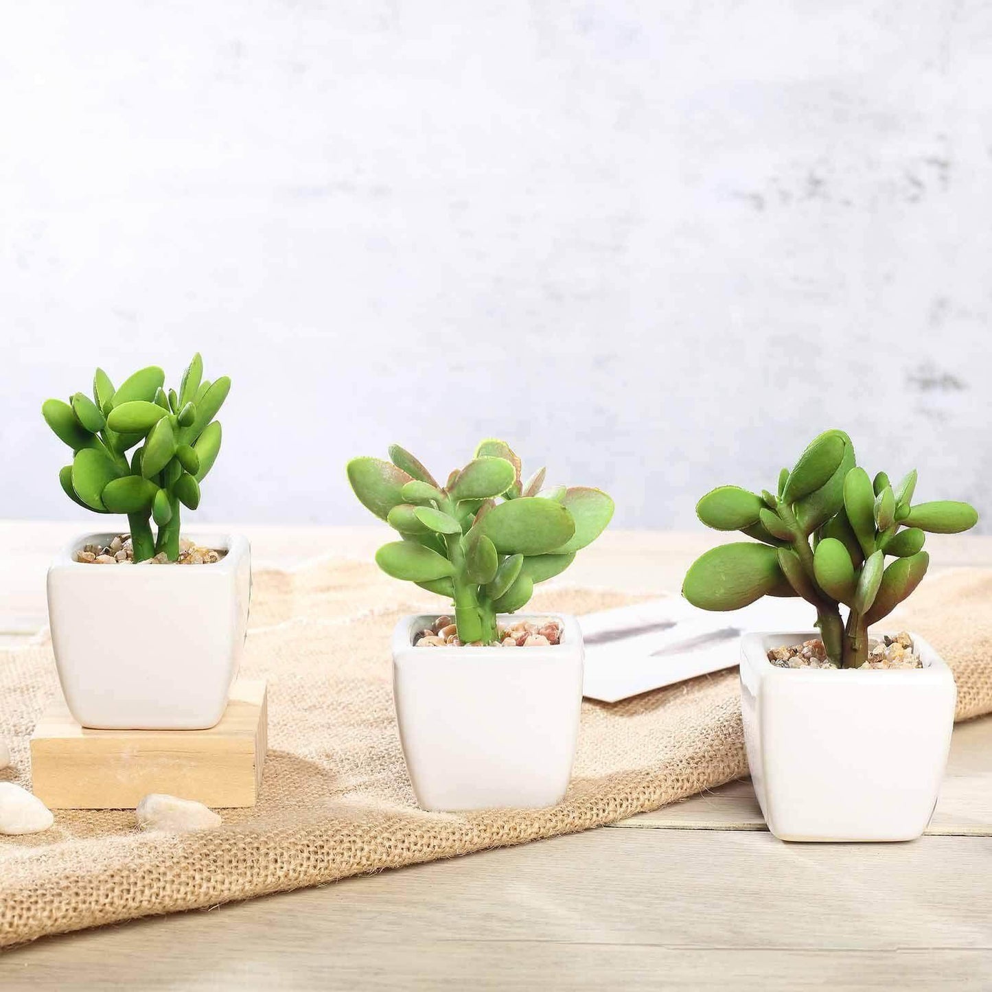 3-Pack Mini Jade Artificial Succulents in Ceramic Pots - Lifelike Decorative Faux Plants for Home Office & Event Design 3"