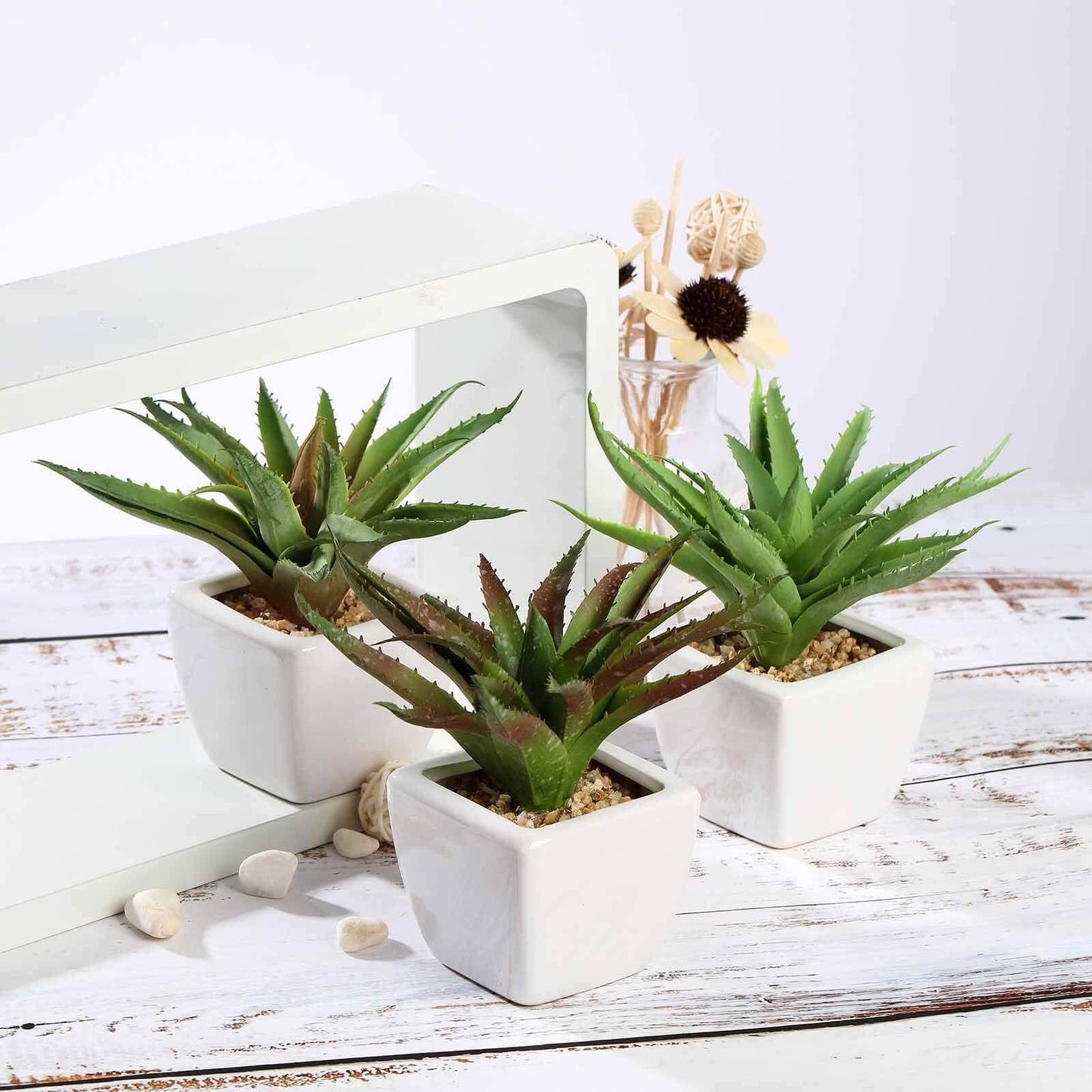 3-Pack Spotted Aloe Vera Artificial Succulents in Ceramic Pot - Lifelike Decorative Faux Plants for Home Office & Event Design 5"