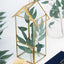 Glass Terrarium Hanging House Lantern Design Metal Gold - Versatile Holder for Air Plants & Displays 11"