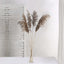 6 Stems Natural Dried Pampas Grass Decor Natural Tint - Versatile Plant Sprays for Boho Chic Vase Displays Backdrops & Event Styling 32"