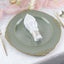 6-Pack Acrylic Round Charger Plates 13" in Dusty Sage Green with Gold Embossed Baroque Rim, Antique Decorative Dinner Party Charger Tableware