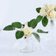 24 Roses 2" Cream Artificial Foam Flowers With Stem Wire and Leaves