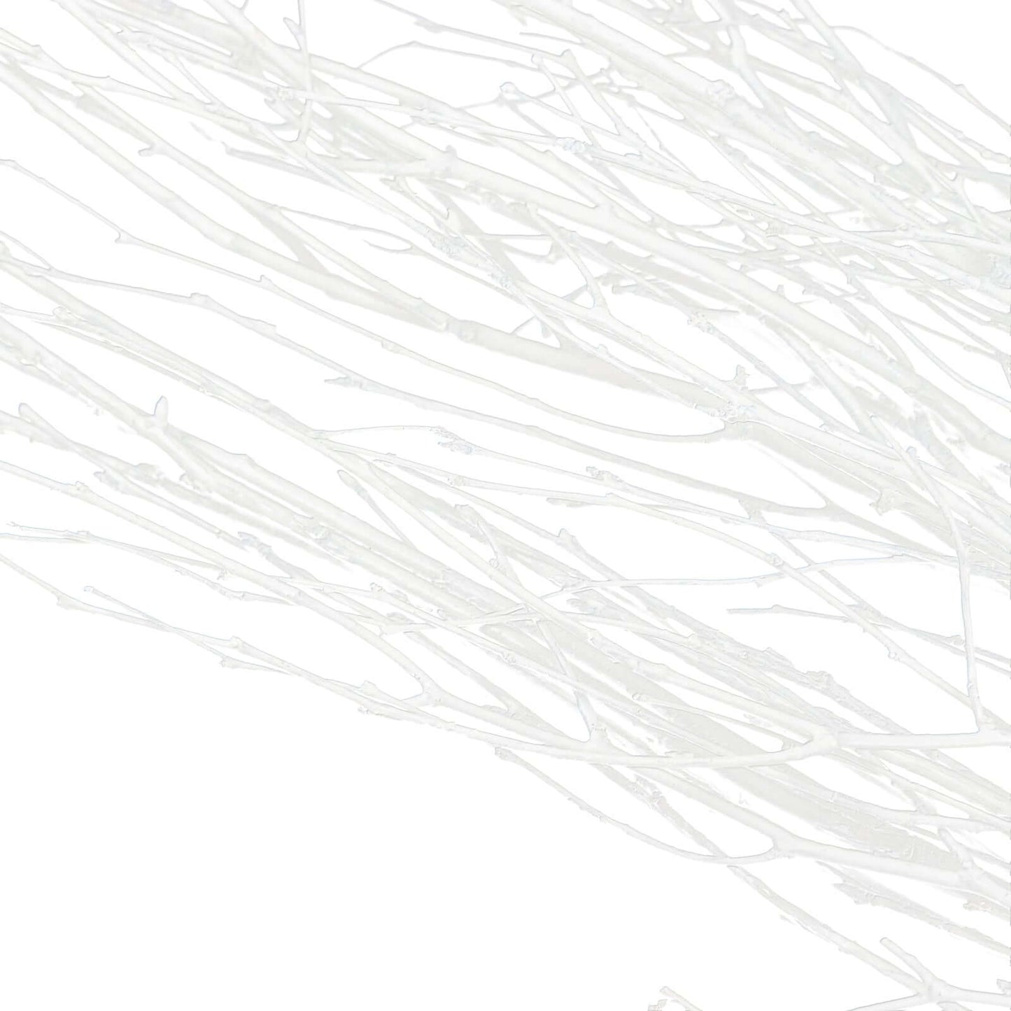 6-Pack Natural Birch Tree Branches 46" White - Versatile Extra Long Decorative Dried Willow Twigs Sticks for Vase Centerpiece Wedding Decor