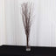 6-Pack Natural Birch Tree Branches 46" Natural - Versatile Extra Long Decorative Dried Willow Twigs Sticks for Vase Centerpiece Wedding Decor