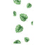 Green Tropical Monstera Leaves Wall Decals, Plant Peel Removable Stickers