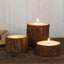 Set of 3 Rustic Wood Slice Votive Candle Holders - Tree Branch Wedding Table DÃ©cor 2.75", 1.5", 1.25"