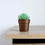 3-Pack Flower Plant Pots Small Design Rustic Brown - Plastic Indoor Decorative Planters 3"