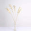 6 Stems Natural Dried Pampas Grass Decor Off White Tint - Versatile Plant Sprays for Boho Chic Vase Displays Backdrops & Event Styling 32"