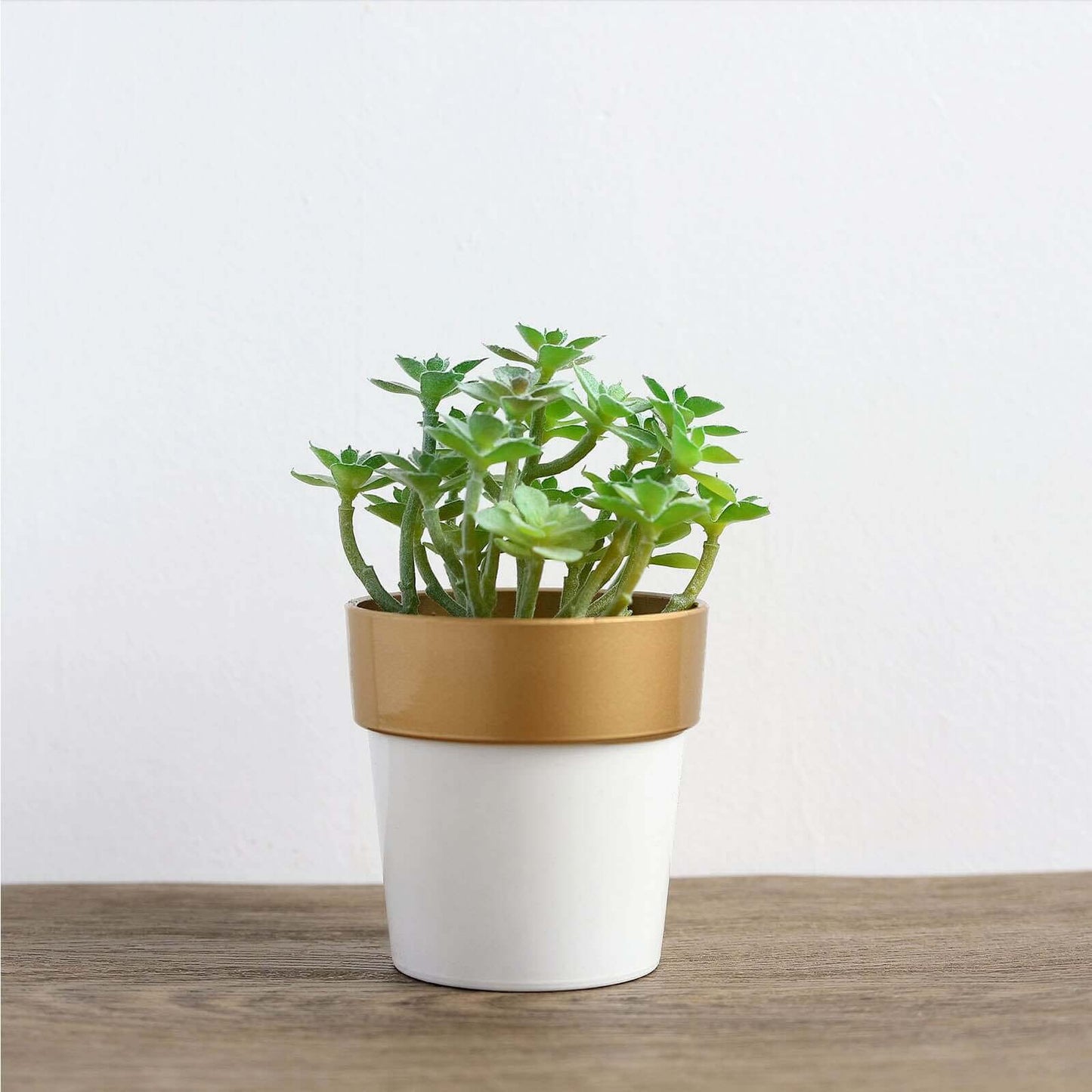 3-Pack Flower Plant Pots Small Design White with Gold Rim - Plastic Indoor Decorative Planters 3"