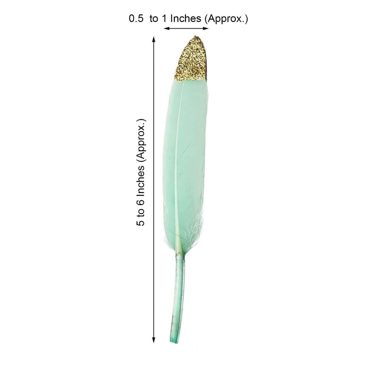 30-Pack Turkey Feathers Craft Feathers Glitter Gold Tip Mint - Decorative Feathers for DIY Party Projects