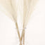 3 Stems Artificial Pampas Grass Decor Cream for Rustic Boho Chic Backdrops Floral Styling & Vase Displays 44"
