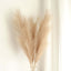 3 Stems Artificial Pampas Grass Decor Taupe - Soft Realistic Faux Ornamental Grass Branches for Rustic Boho Chic Backdrops Floral Styling & Vase Displays 44"