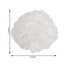6 Pack 6" White Tissue Paper Pom Poms Flower Balls, Ceiling Wall Hanging Decorations
