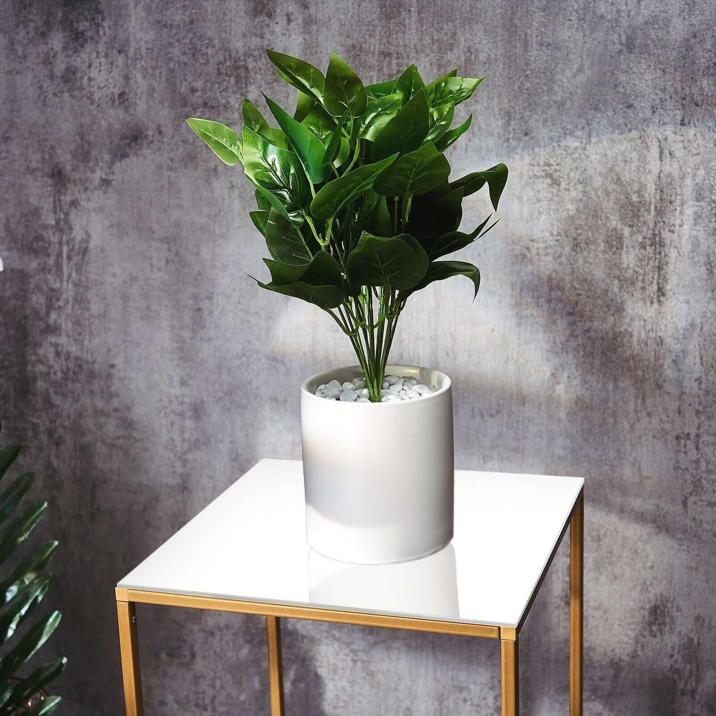 2-Pack Acrylic Plexiglass Sheets Top Plates White Square - Protective Film Coating 11" 3mm Thick