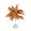 Table Lamp Feather Design Natural LED Battery Operated - Cordless Wedding Centerpiece 15"