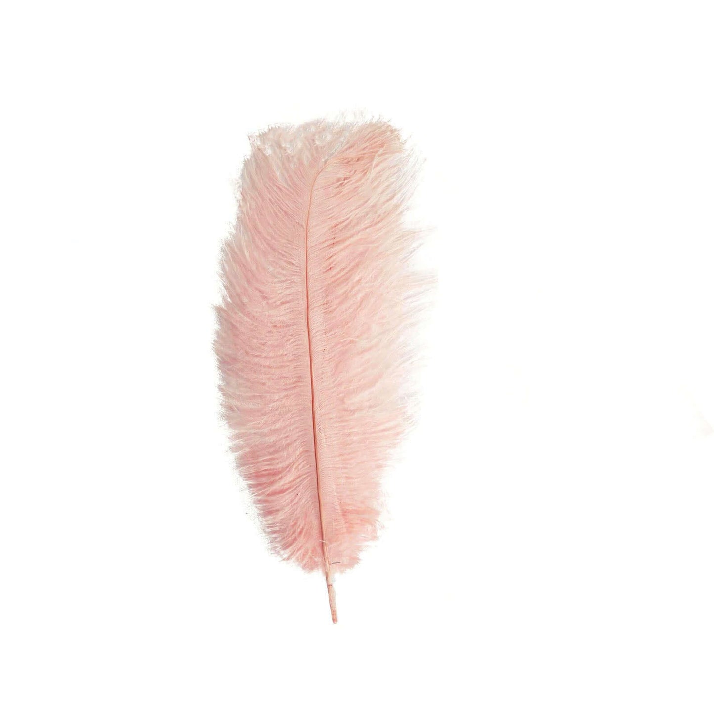 12 Pack 13"-15" Rose Gold Natural Plume Real Ostrich Feathers, DIY Centerpiece Fillers