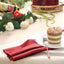 5 Pack Premium Velvet 20"x20" Napkins Burgundy - Soft Sheen Finish Cloth Napkins