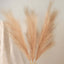 3 Stems Artificial Pampas Grass Decor Taupe - Soft Realistic Faux Ornamental Grass Branches for Rustic Boho Chic Backdrops Floral Styling & Vase Displays 44"