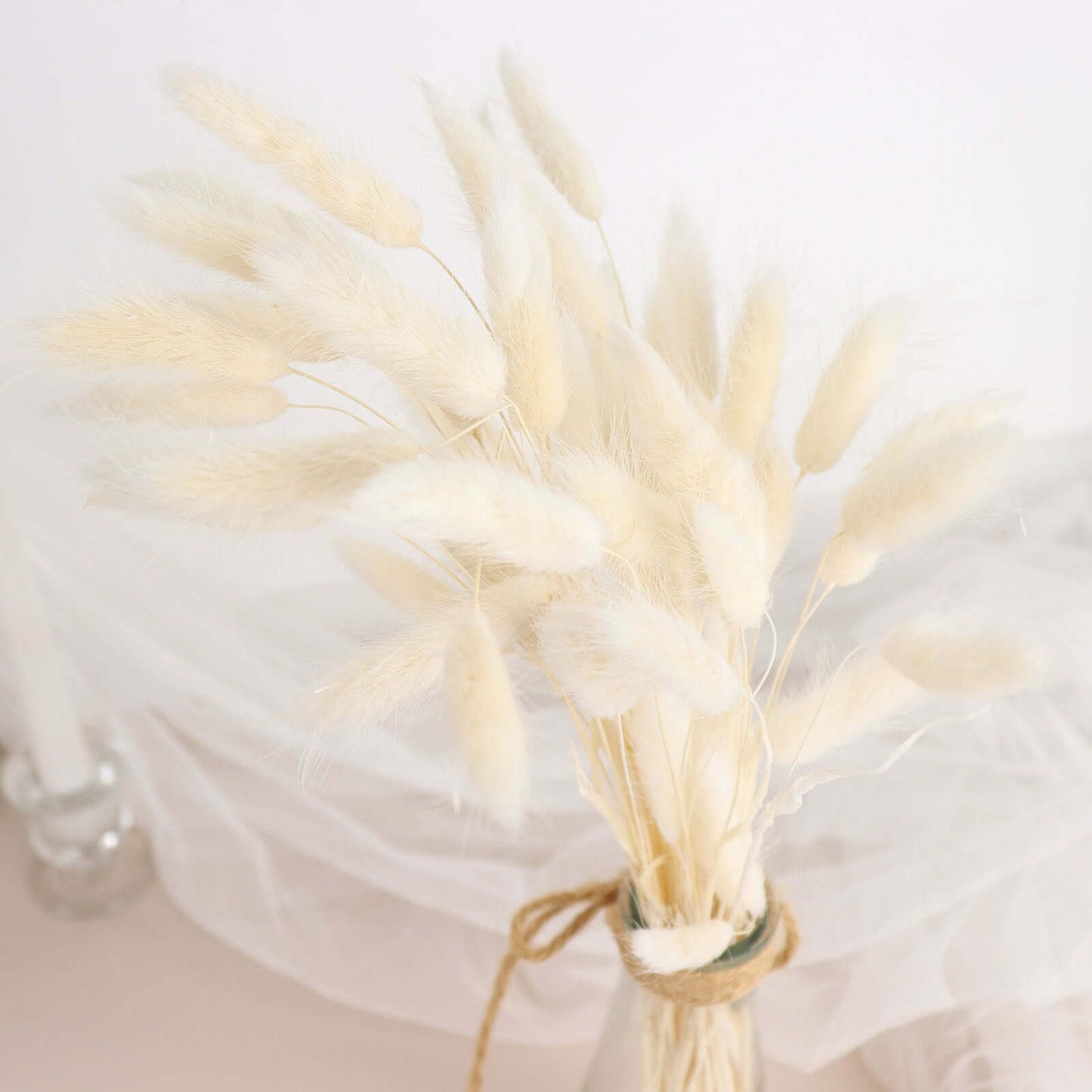50-Pack Dried Bunny Tail Grass Natural White for Farmhouse Decor Event & Floral Displays 15"